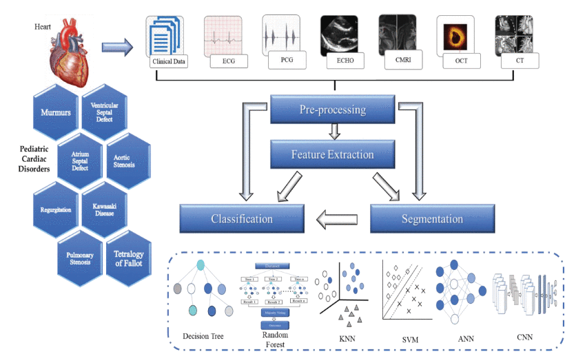 Computerized Diagnosis Methods for Pediatric Cardiology