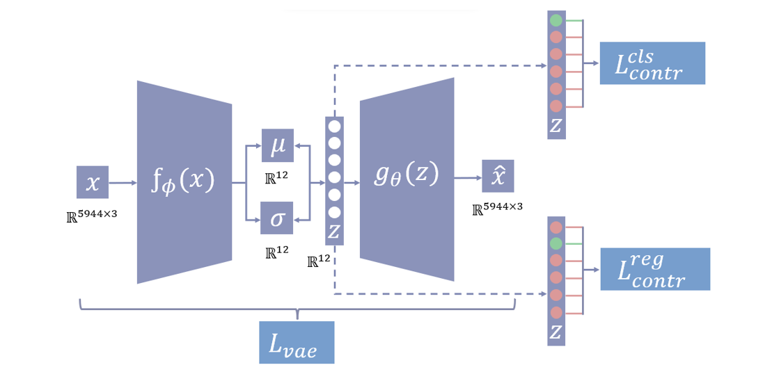 Disentangling Hippocampal Shape Variations