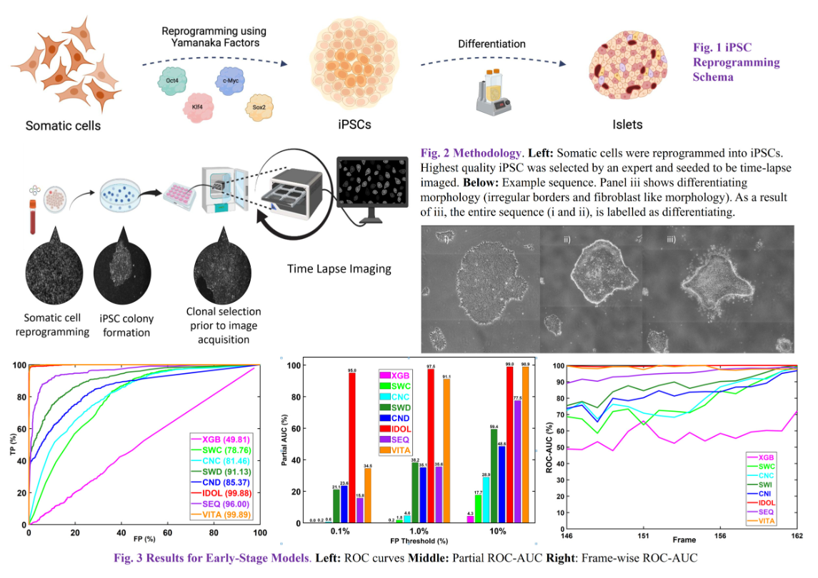 Early Prediction of Human iPSC Reprogramming Success